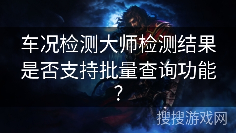 车况检测大师检测结果是否支持批量查询功能？