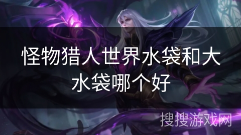 怪物猎人世界水袋和大水袋哪个好