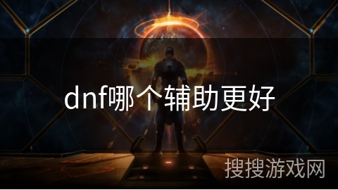 dnf哪个辅助更好