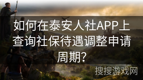 如何在泰安人社APP上查询社保待遇调整申请周期？