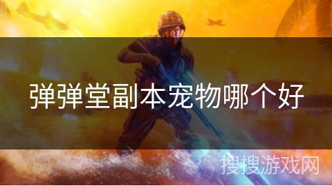 弹弹堂副本宠物哪个好