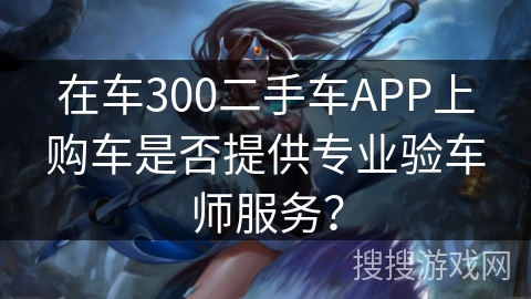 在车300二手车APP上购车是否提供专业验车师服务？