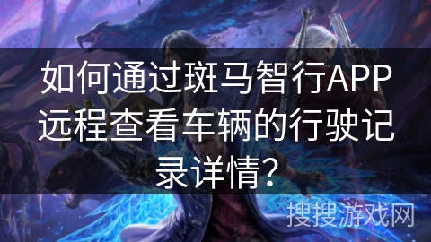 如何通过斑马智行APP远程查看车辆的行驶记录详情？