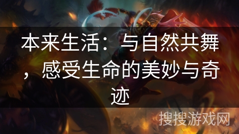 本来生活：与自然共舞，感受生命的美妙与奇迹