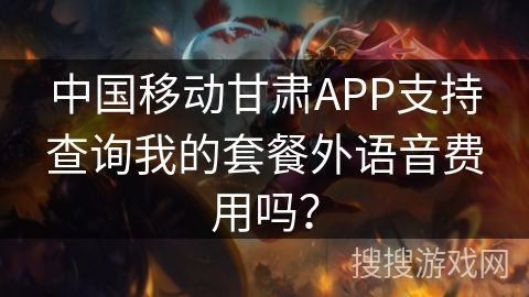 中国移动甘肃APP支持查询我的套餐外语音费用吗？