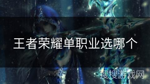 王者荣耀单职业选哪个