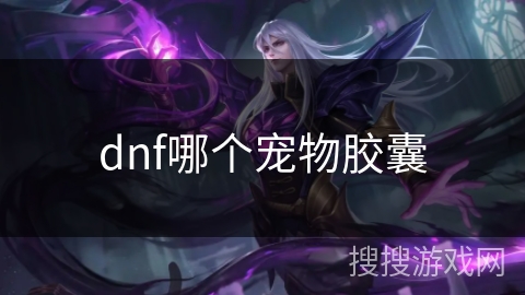 dnf哪个宠物胶囊