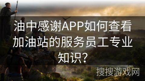 油中感谢APP如何查看加油站的服务员工专业知识？