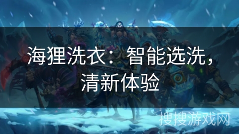 海狸洗衣：智能选洗，清新体验