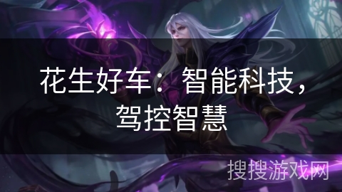 花生好车：智能科技，驾控智慧