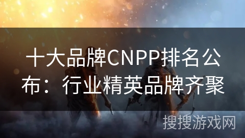 十大品牌CNPP排名公布：行业精英品牌齐聚