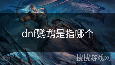 dnf鹦鹉是指哪个