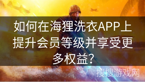 如何在海狸洗衣APP上提升会员等级并享受更多权益？