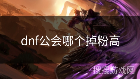 dnf公会哪个掉粉高