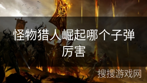 怪物猎人崛起哪个子弹厉害
