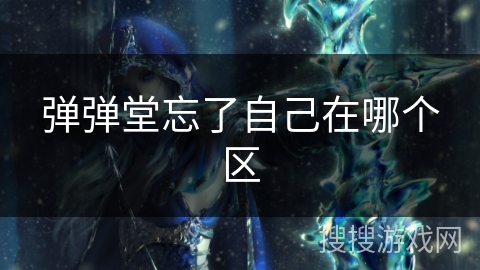 弹弹堂忘了自己在哪个区