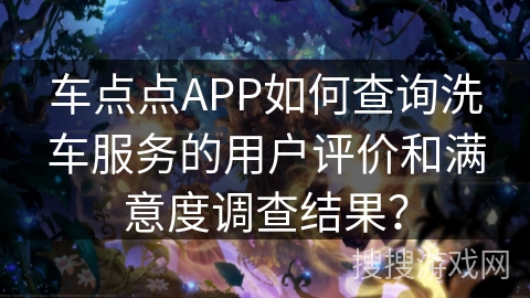 车点点APP如何查询洗车服务的用户评价和满意度调查结果？