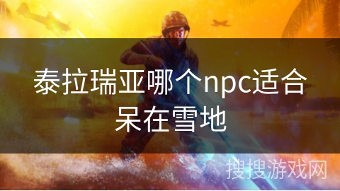 泰拉瑞亚哪个npc适合呆在雪地