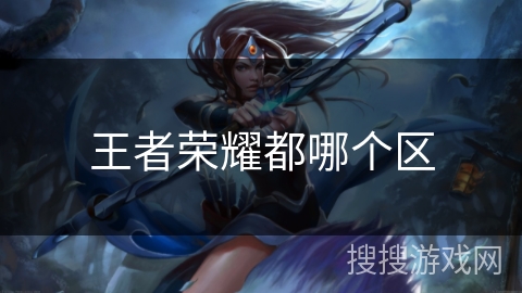 王者荣耀都哪个区
