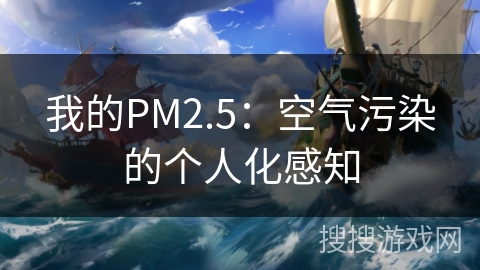 我的PM2.5：空气污染的个人化感知