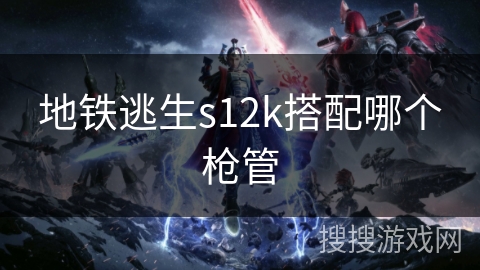 地铁逃生s12k搭配哪个枪管