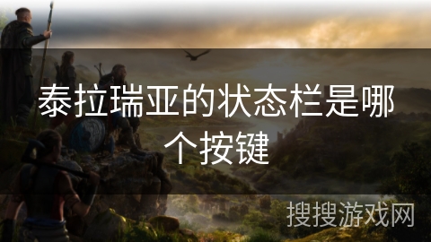 泰拉瑞亚的状态栏是哪个按键