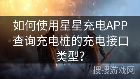如何使用星星充电APP查询充电桩的充电接口类型？