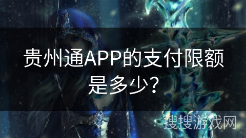 贵州通APP的支付限额是多少？