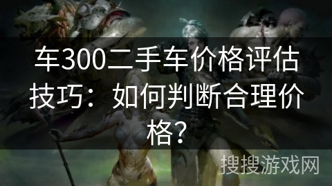 车300二手车价格评估技巧：如何判断合理价格？