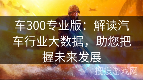 车300专业版:解读汽车行业大数据,助您把握未来发展 车300专业版:解读汽车行业大数据,助您把握未来发展