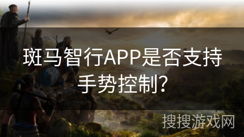 斑马智行APP是否支持手势控制？