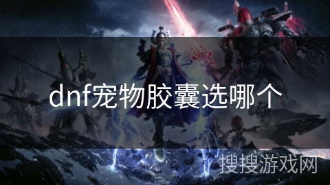 dnf宠物胶囊选哪个 dnf宠物胶囊选哪个