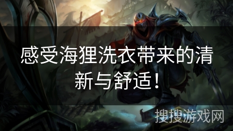 感受海狸洗衣带来的清新与舒适！