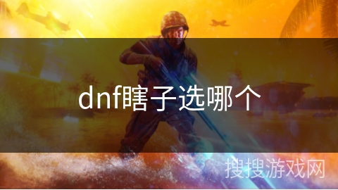 dnf瞎子选哪个