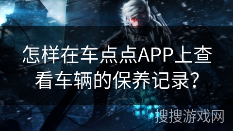怎样在车点点APP上查看车辆的保养记录？