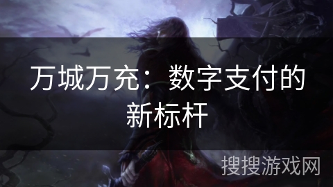 万城万充：数字支付的新标杆