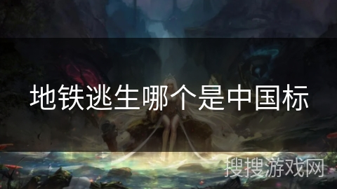地铁逃生哪个是中国标 地铁逃生哪个是中国标