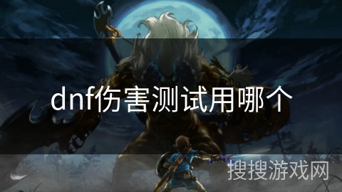 dnf伤害测试用哪个