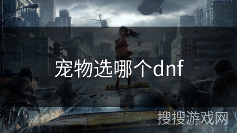 宠物选哪个dnf