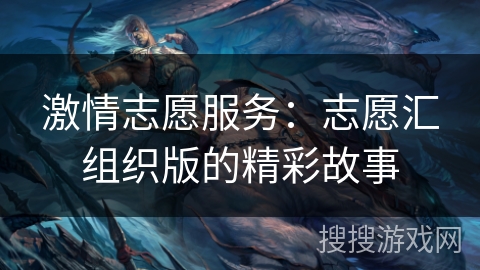 激情志愿服务：志愿汇组织版的精彩故事