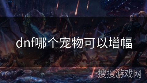 dnf哪个宠物可以增幅 dnf哪个宠物可以增幅