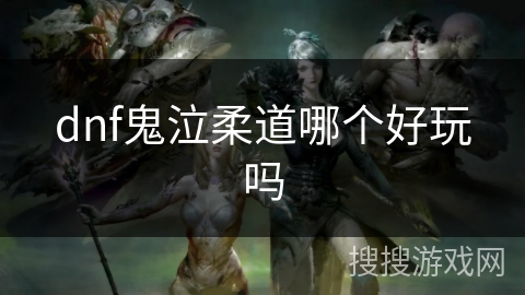 dnf鬼泣柔道哪个好玩吗