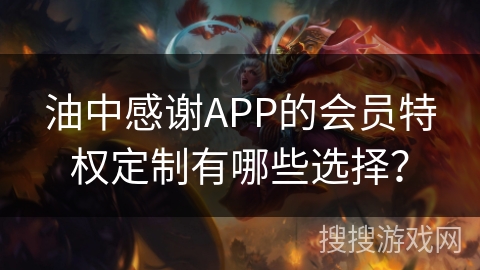 油中感谢APP的会员特权定制有哪些选择？