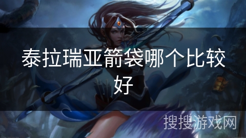 泰拉瑞亚箭袋哪个比较好