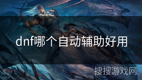dnf哪个自动辅助好用