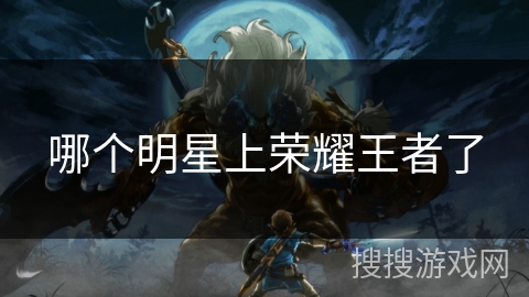 哪个明星上荣耀王者了