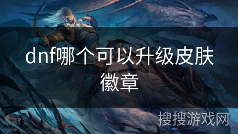 dnf哪个可以升级皮肤徽章