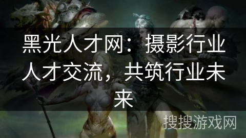 黑光人才网：摄影行业人才交流，共筑行业未来