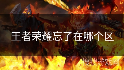 王者荣耀忘了在哪个区 王者荣耀忘了在哪个区