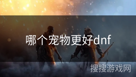 哪个宠物更好dnf